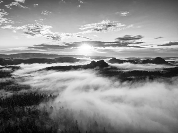 Black and white photo. Misty daybreak in a beautiful hills. Peaks of hills are sticking out from foggy background.