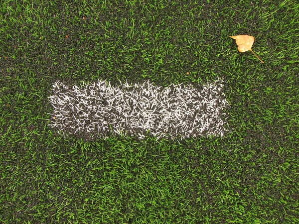 End of football season. Dry birch leaf fallen on ground of plastic green football turf with painted white line .