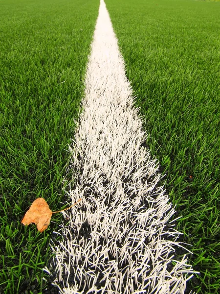 End of football season. Dry birch leaf fallen on ground of plastic green football turf with painted white line .