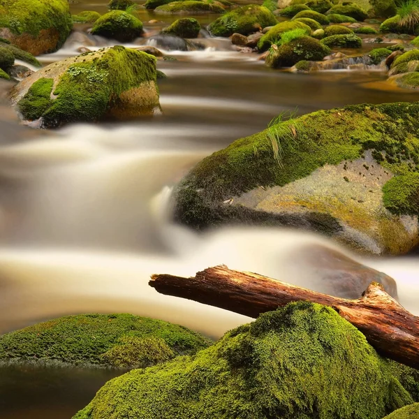 Rot trunk blocked on stones. Stream bank above bright blurred waves. Big mossy boulders in clear water of mountain river.