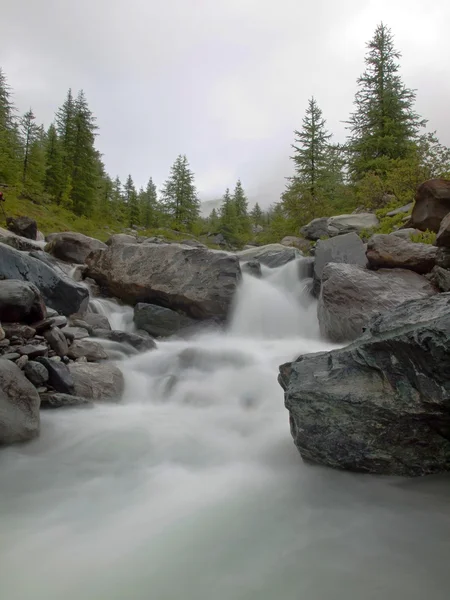 Steep rapid stream of foamy Alpine river. White waves of brook flowing down over boulders and stones, high water level after heavy rains.