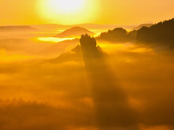 Mysterious golden land.  Wavy mist covers deep forests in landscape and strong Sun rays stripped the cover with strong shadows. Rocky hills increased from fog.