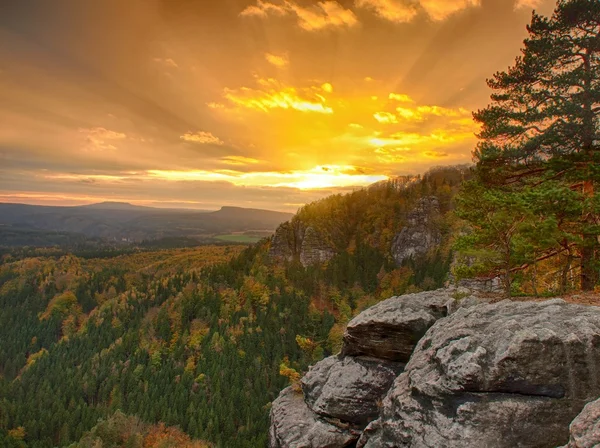 Autumn sunset view over sandstone rocks to fall colorful  valley of Bohemian Switzerland. Sandstone peaks and hills increased from colorful background.
