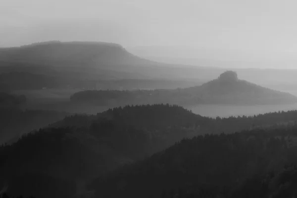 Valley full of mist and peaks of high trees are sticking up to sky. Romantic autumn sunset.