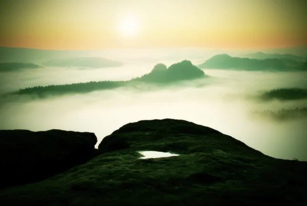 Dreamy misty landscape. Majestic mountain cut the lighting mist. Deep valley is full of colorful fog and rocky hills are sticking up to Sun. Magnificent autumn morning.