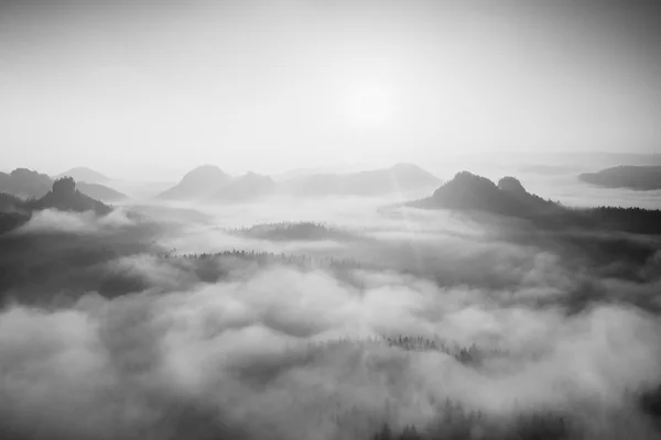 Autumn sunrise in a beautiful mountain within inversion. Peaks of hills increased from foggy background. Black and white photo.