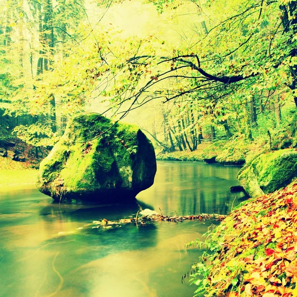 View into autumn mountain river with blurred waves,, fresh green mossy stones and boulders on river bank covered with colorful leaves from old trees.