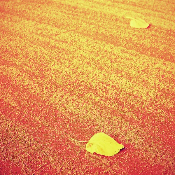 Dry leaf an tennis court. Dry light red crushed bricks surface