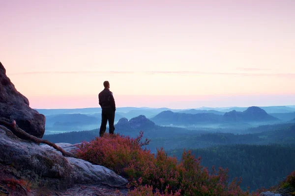 Tall man in black on the cliff with heather bush. Sharp rocky mountains park