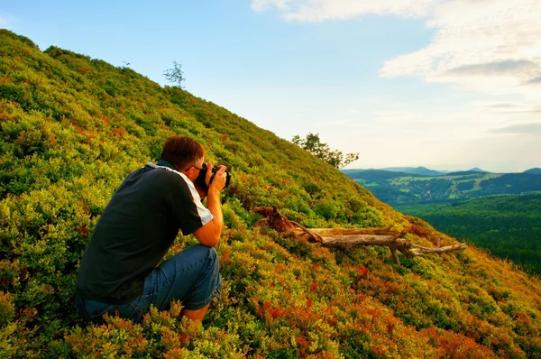 Professional photographer takes photos with mirror camera in bushes of blueberries. Dreamy landscape, spring sunrise.
