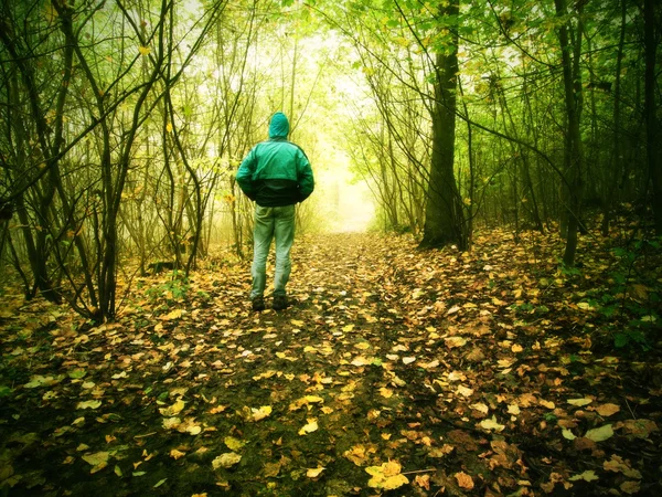 Hunched man is walking in colorful forest in autumn mist