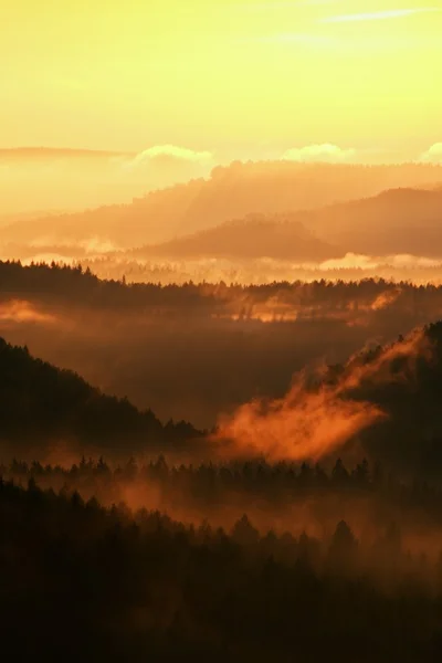 Fantastic red awakening of nature. Misty beautiful valley. Peaks of hills are sticking up from heavy mist , Sun rays colored dense fog to orange.