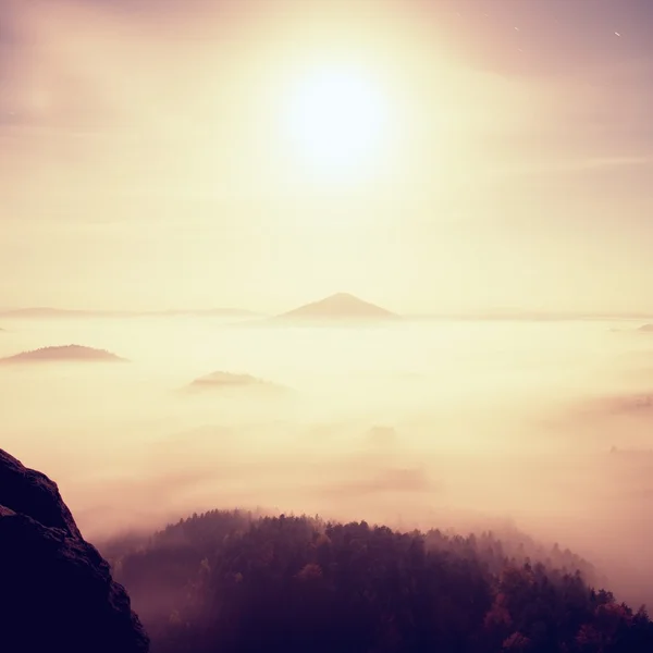 Midnight. Full moon night in a beautiful mountain of Bohemian-Saxony Switzerland. Hilly peaks and trees increased from heavy  fog