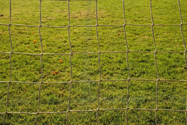 Detail of yellow blue crossed soccer nets, soccer football in goal net with grass on playground