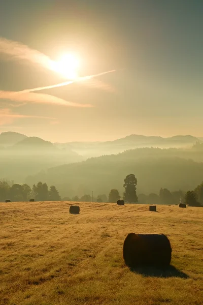 Colorful autumn freeze morning at meadows. Hilly nadscape at horizon.  Ground frost covered grass with grey hoarfrost