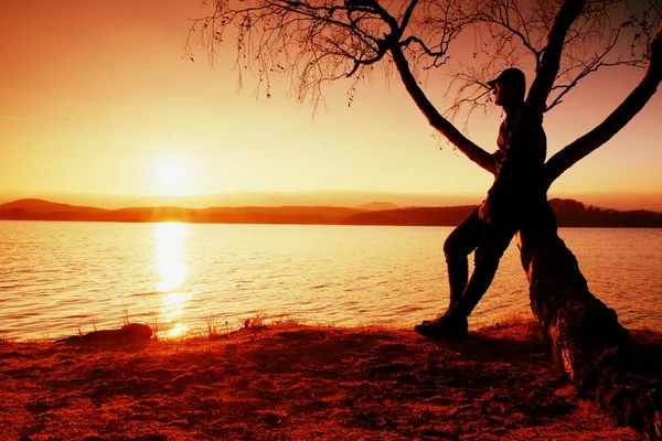 Man on tree. Silhouette of  lone man sit on branch of birch tree at sunset at shoreline.