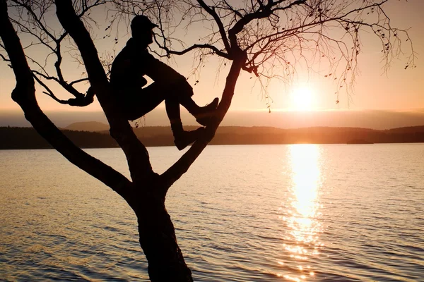 Man sit on tree. Silhouette of  lone boy with baseball cap  on branch of birch tree on beach