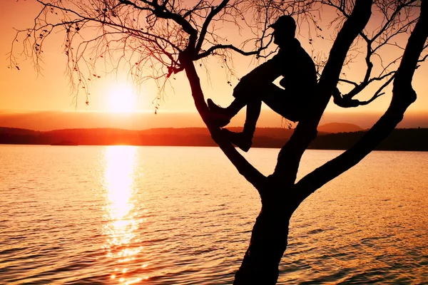 Man sit on tree. Silhouette of  lone boy with baseball cap  on branch of birch tree on beach