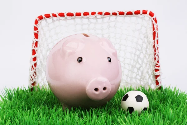 Pink piggy bank with football ball on green field with gate on white background