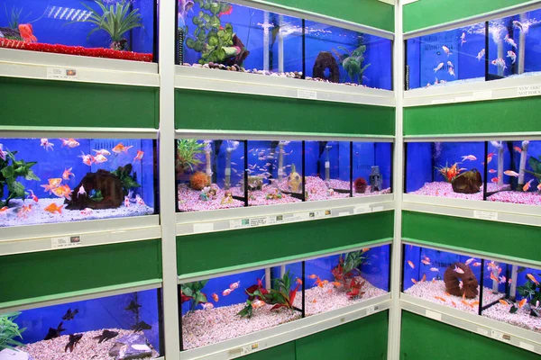 Fish products and aquariums