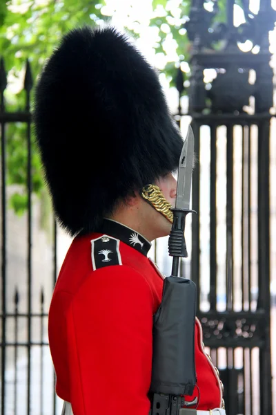 Royal guard at Buckingham Palace