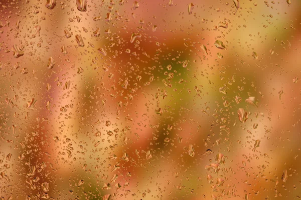 Look at the bright autumn leaves through the glass with raindrop