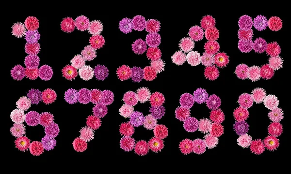 Set of numbers from the bright colors of asters on a black backg