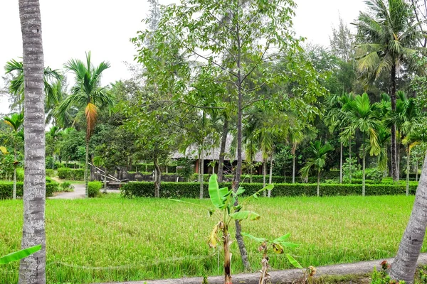 The My Lai Massacre memorial site