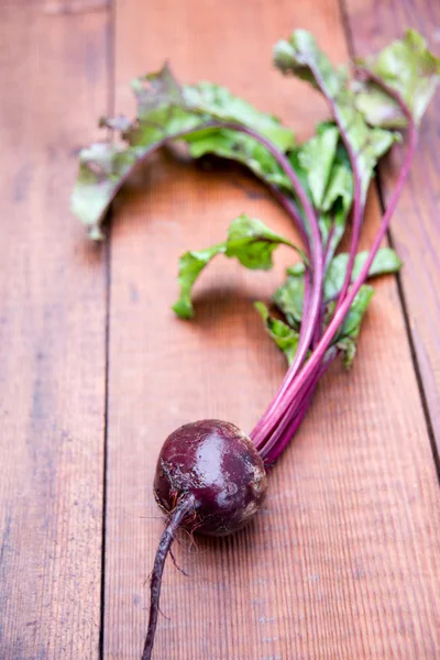 Garden Organic Beet