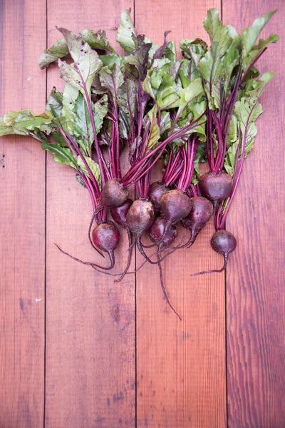 Garden Organic Beets