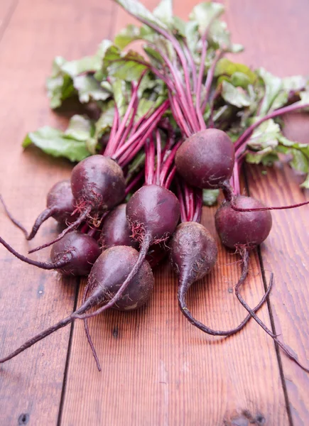 Garden Organic Beets