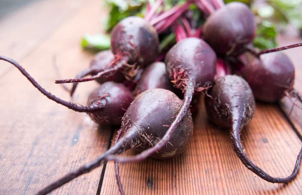 Garden Organic Beets