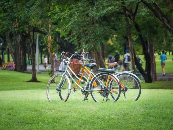 Two empty bicycles in the park