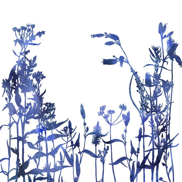 Silhouettes of flowers and grass