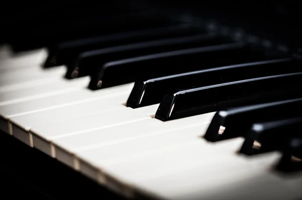 Piano keys. close-up frontal view of keyboard