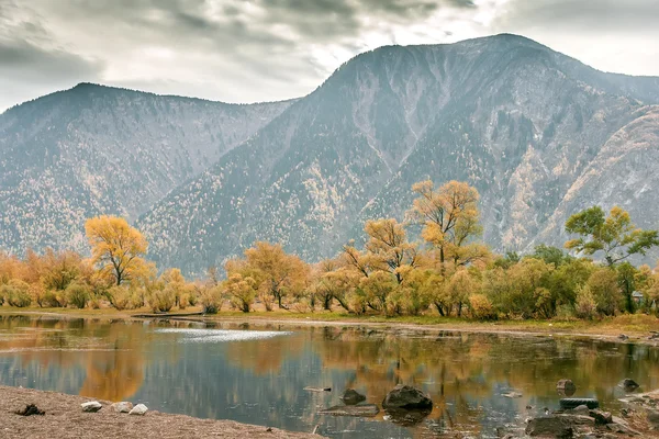 Landscape with lake mountain and gray sky