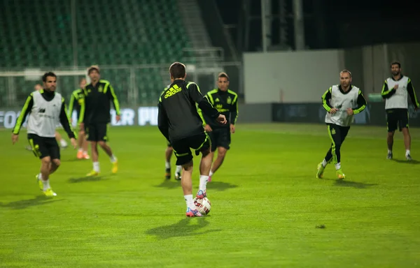 ZILINA, SLOVAKIA  - OCTOBER 8, 2014: Spain national team players