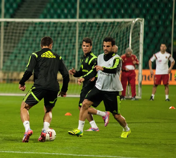 ZILINA, SLOVAKIA  - OCTOBER 8, 2014: Spain national team players