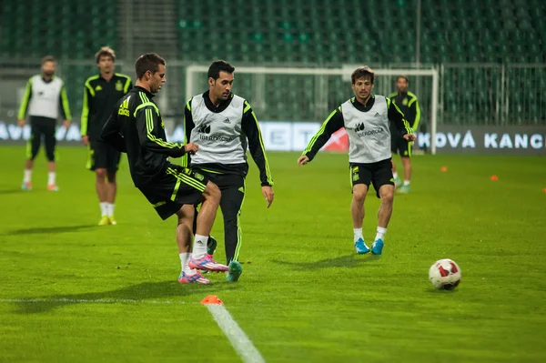 ZILINA, SLOVAKIA  - OCTOBER 8, 2014: Spain national team players