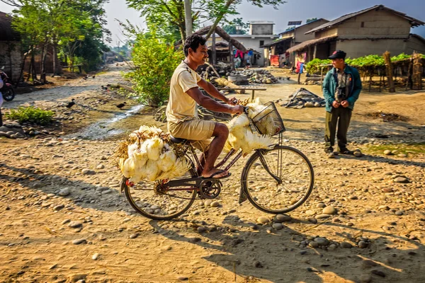 Nepalese man  traveling on a bike with a bunch of chickens