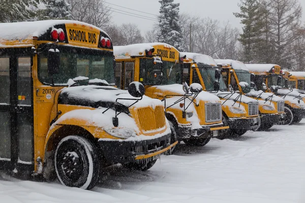 Yellow School Buses Parked in the Snow