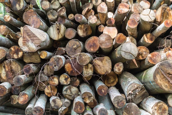 Large amounts of cut logs stacked in a pile