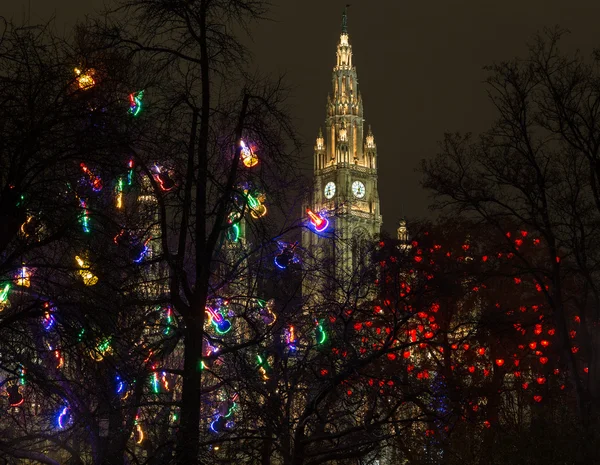 Christkindlmarkt Lights on Trees in Vienna at Night