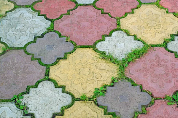 Path of colored tiles from the growing grass in the gaps as back