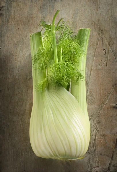The bulbous edible stalk of fennel