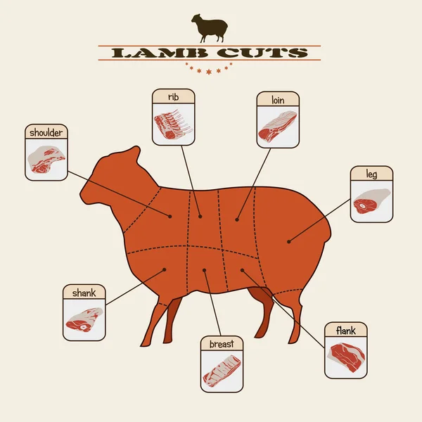 Lamb cuts
