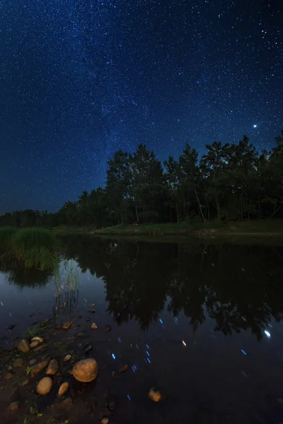 Million star over river at night