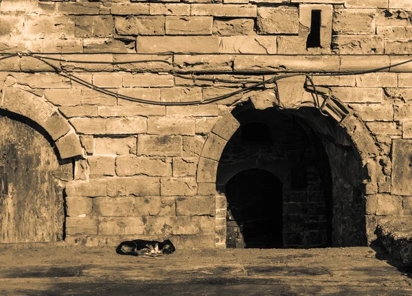 A dog sleeps on the floor in front of the entrance of the stone