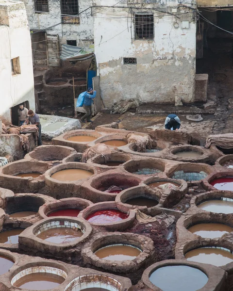 The worker prepare leather in Chouara Tannery in Fes