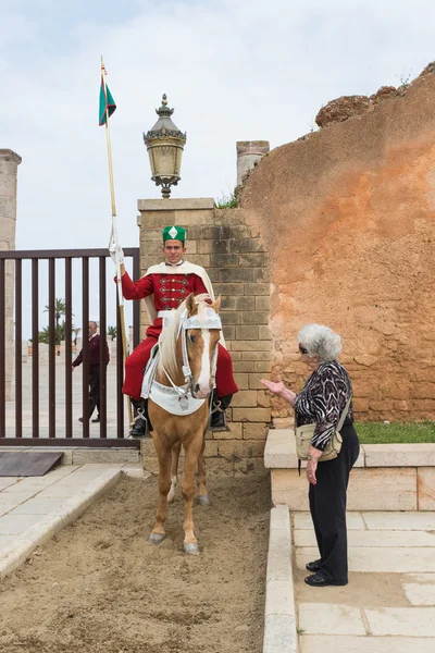 One old tourist woman talk to horse which soldier is sitting